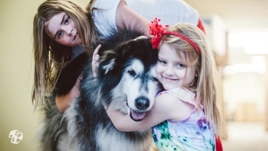 Girls and a dog