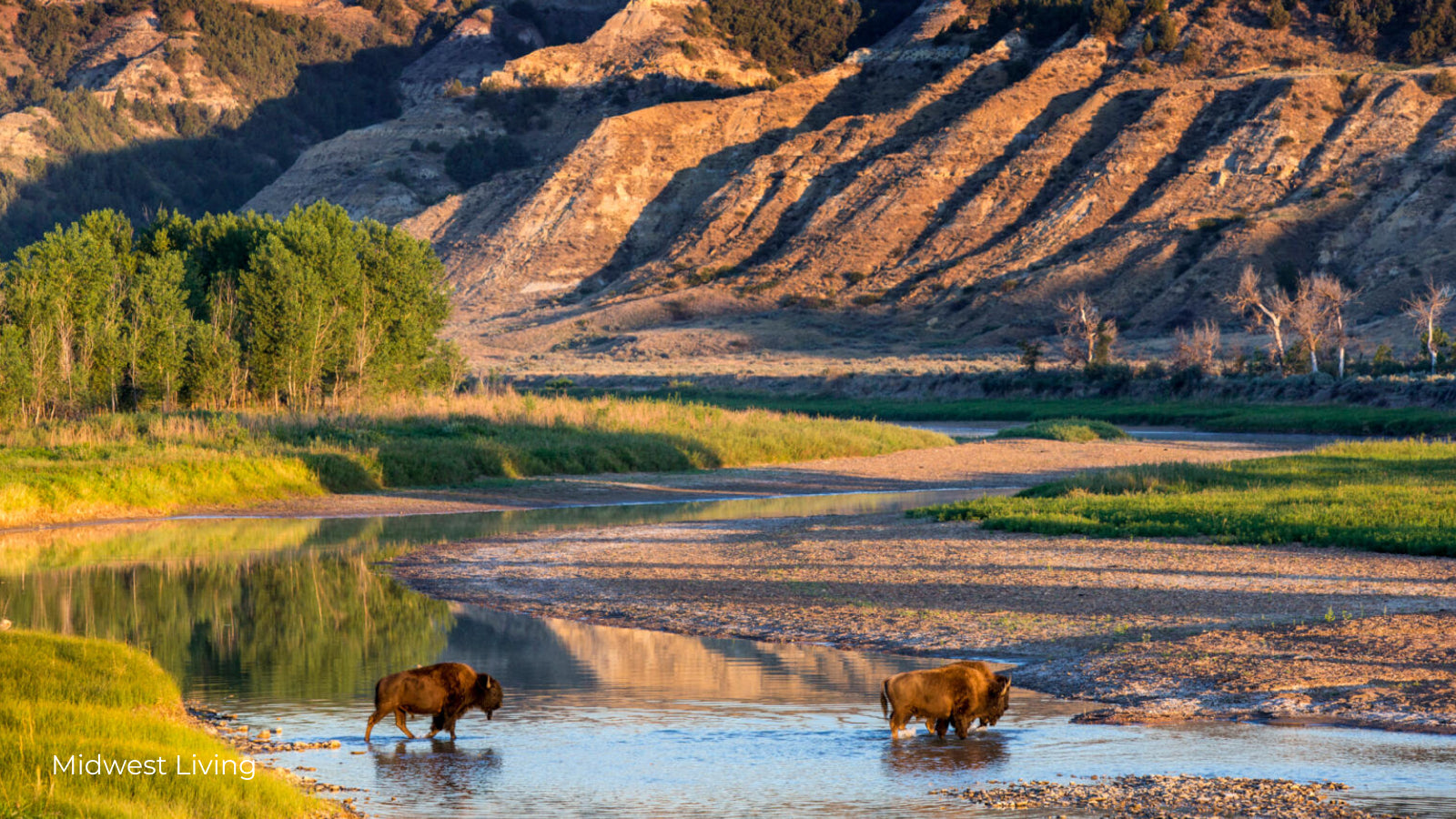 Theodore Roosevelt National Park lake with two bison