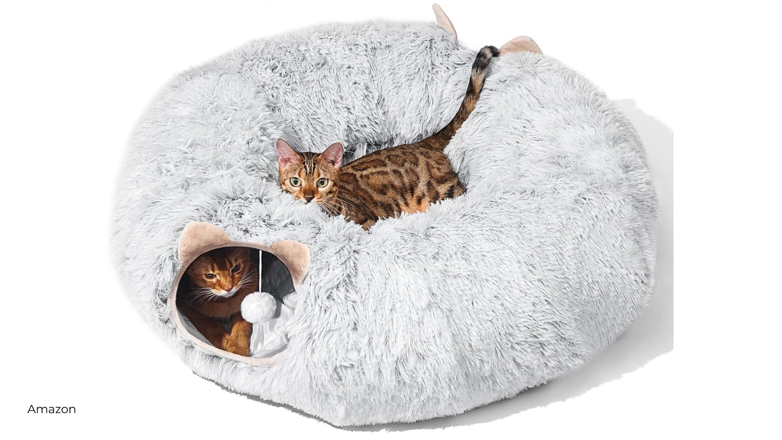 Two cats lounge and play in a cat bed and tunnel combo
