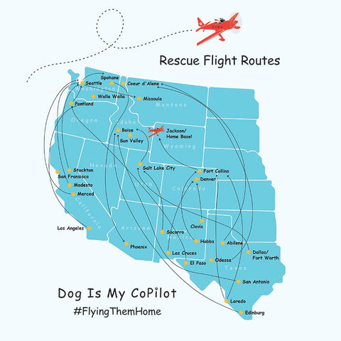 Rescue Flight Routes