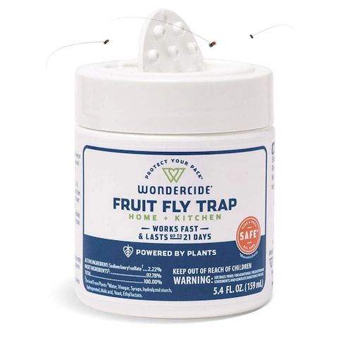 Fruit fly trap