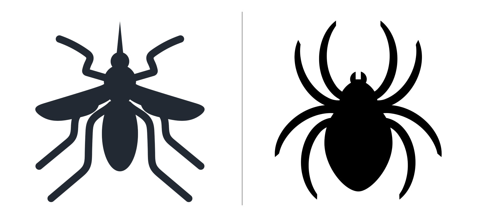 Wondercide pumpkin carving templates mosquito and spider