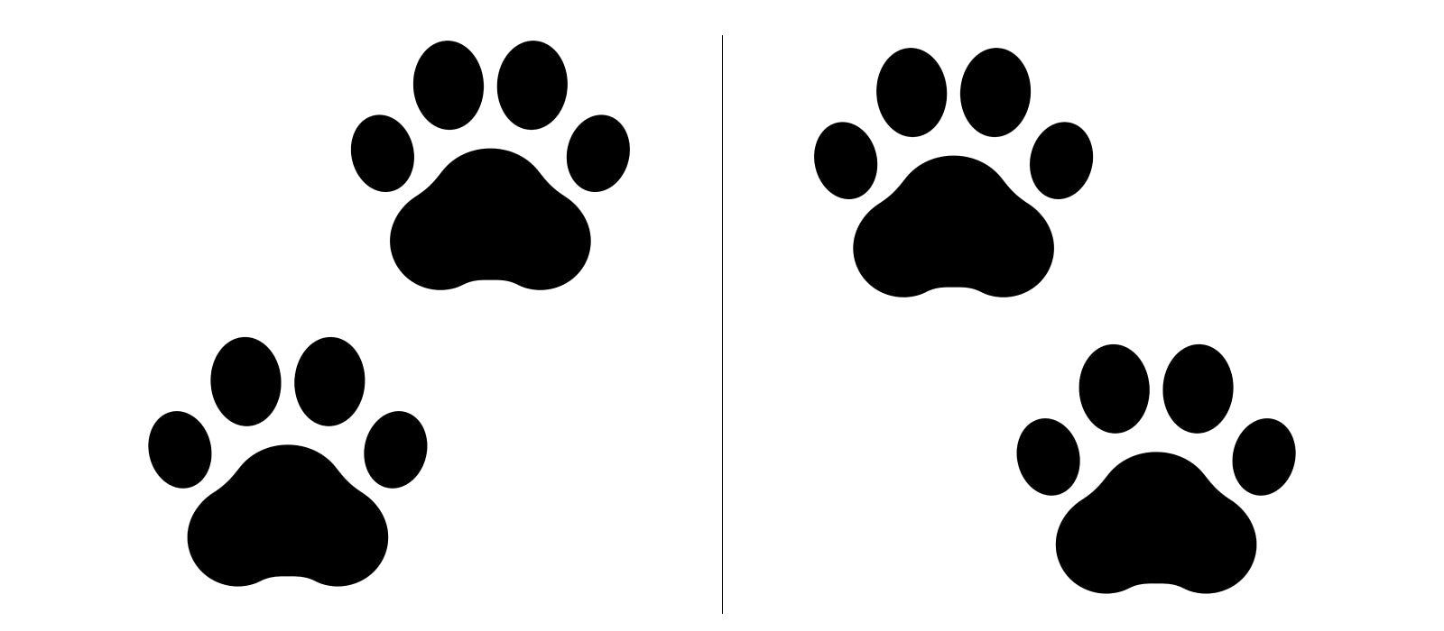 Wondercide pumpkin carving templates pet paws stacked