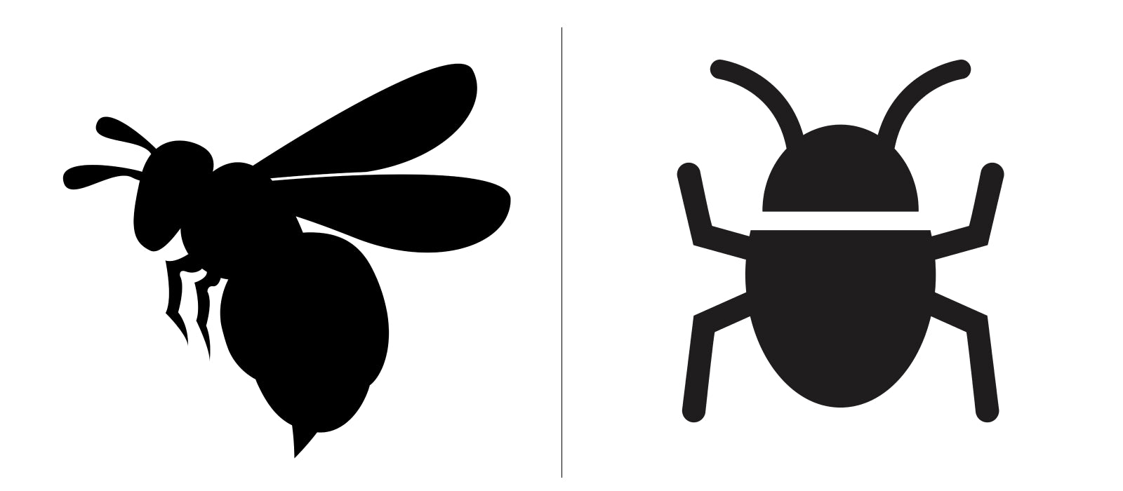 Wondercide pumpkin carving templates wasp and roach