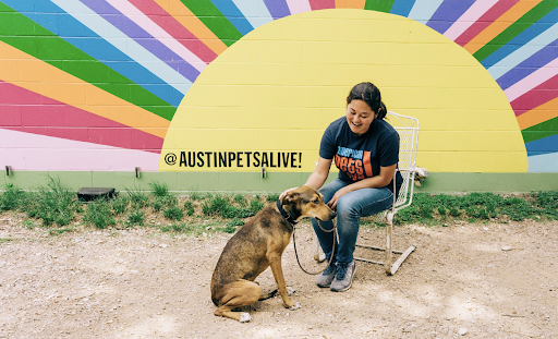 Austin Pets Alive! (@austinpetsalive) • Instagram photos and videos