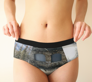 Cheeky Briefs, Women's Underwear, Bridge at Night Design — Flow Free Designs