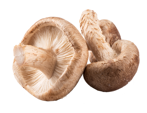 Shitake Mushroom – EDEN'S HK