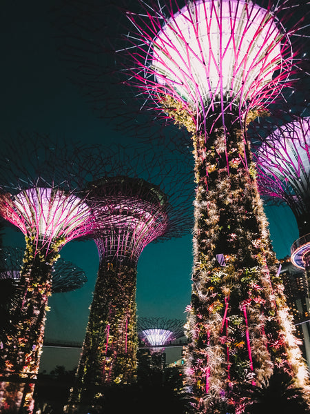 Golden Garden at Night