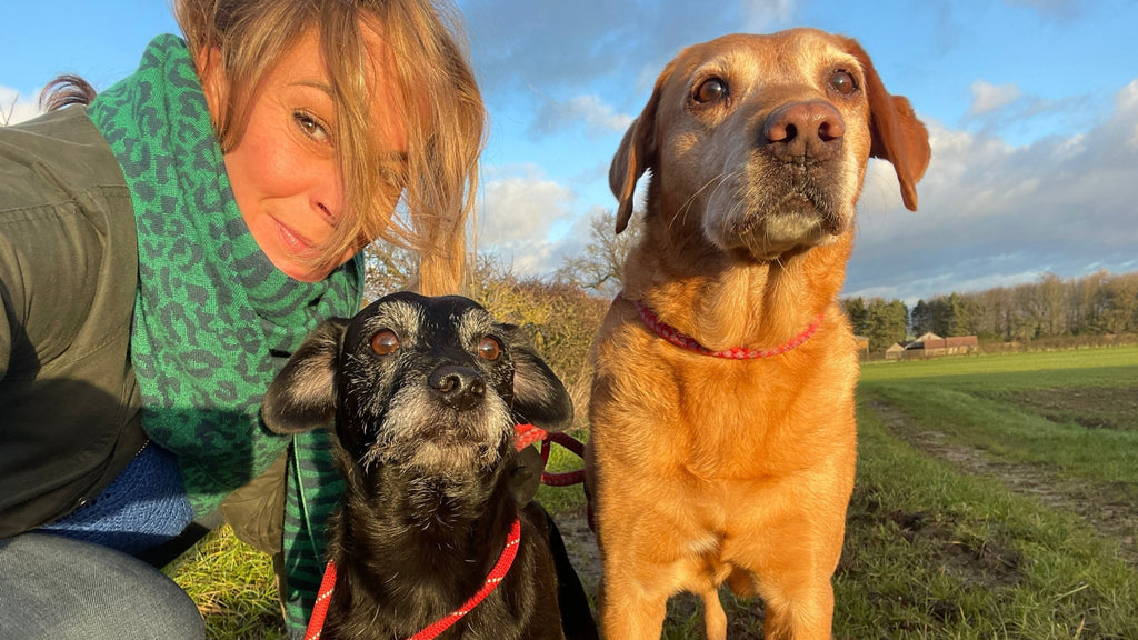 Jo + her dogs