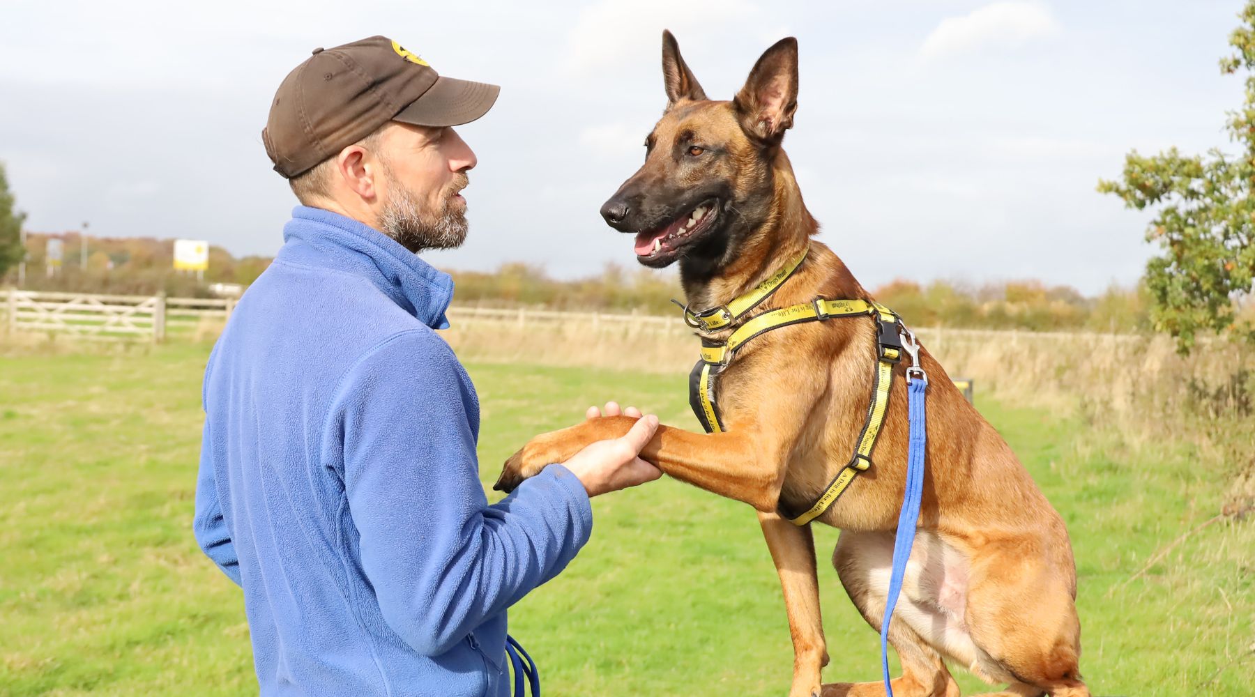 Omaze Million Pound House Lake District. Dogs Trust. Piper the Belgian Malinois with his paw in his trainer's hand 