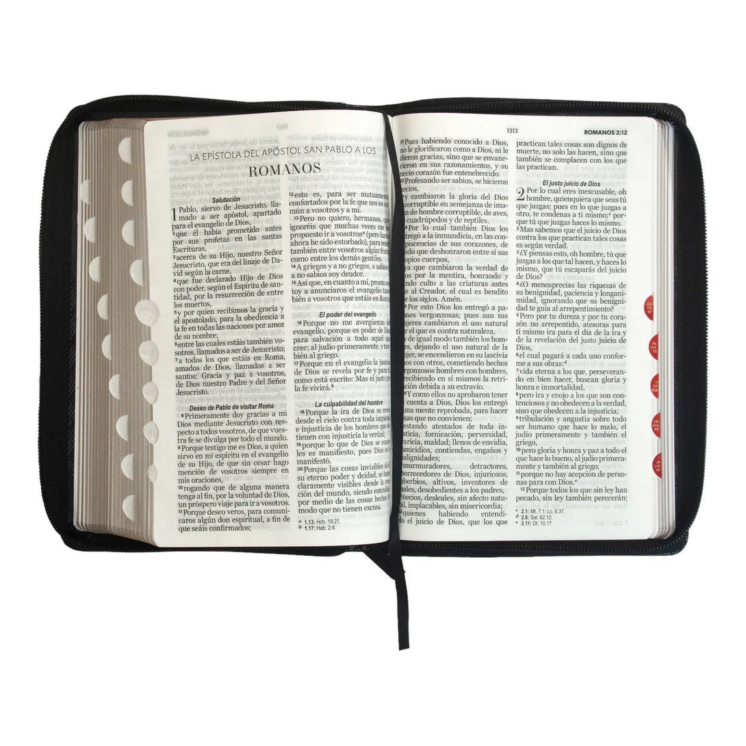 Biblia Reina Valera 1960 tamaño manual letra grande 12 puntos- Imitación  Piel negro/negro – Mundo Biblia