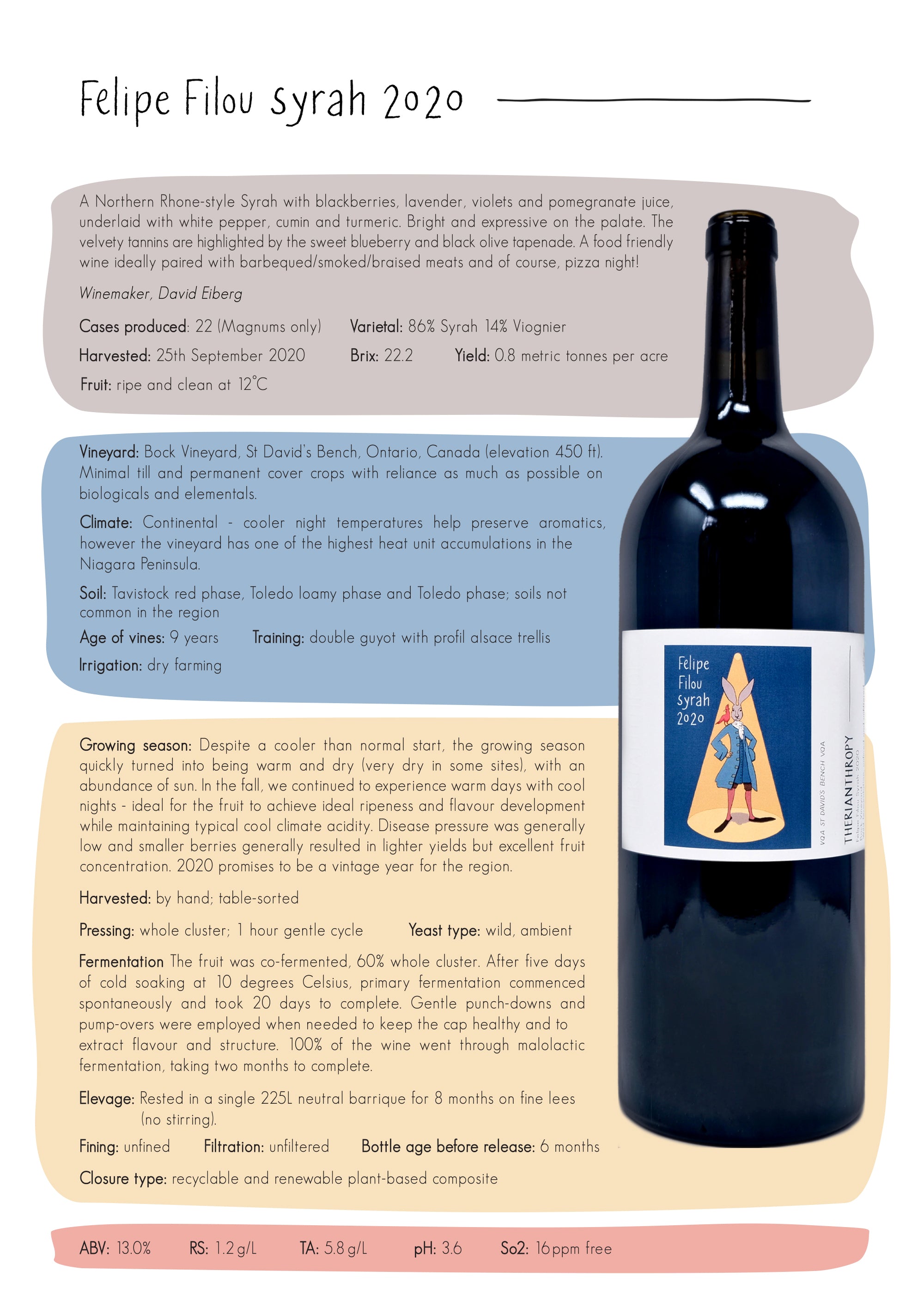 Wine Felipe Filou Syrah