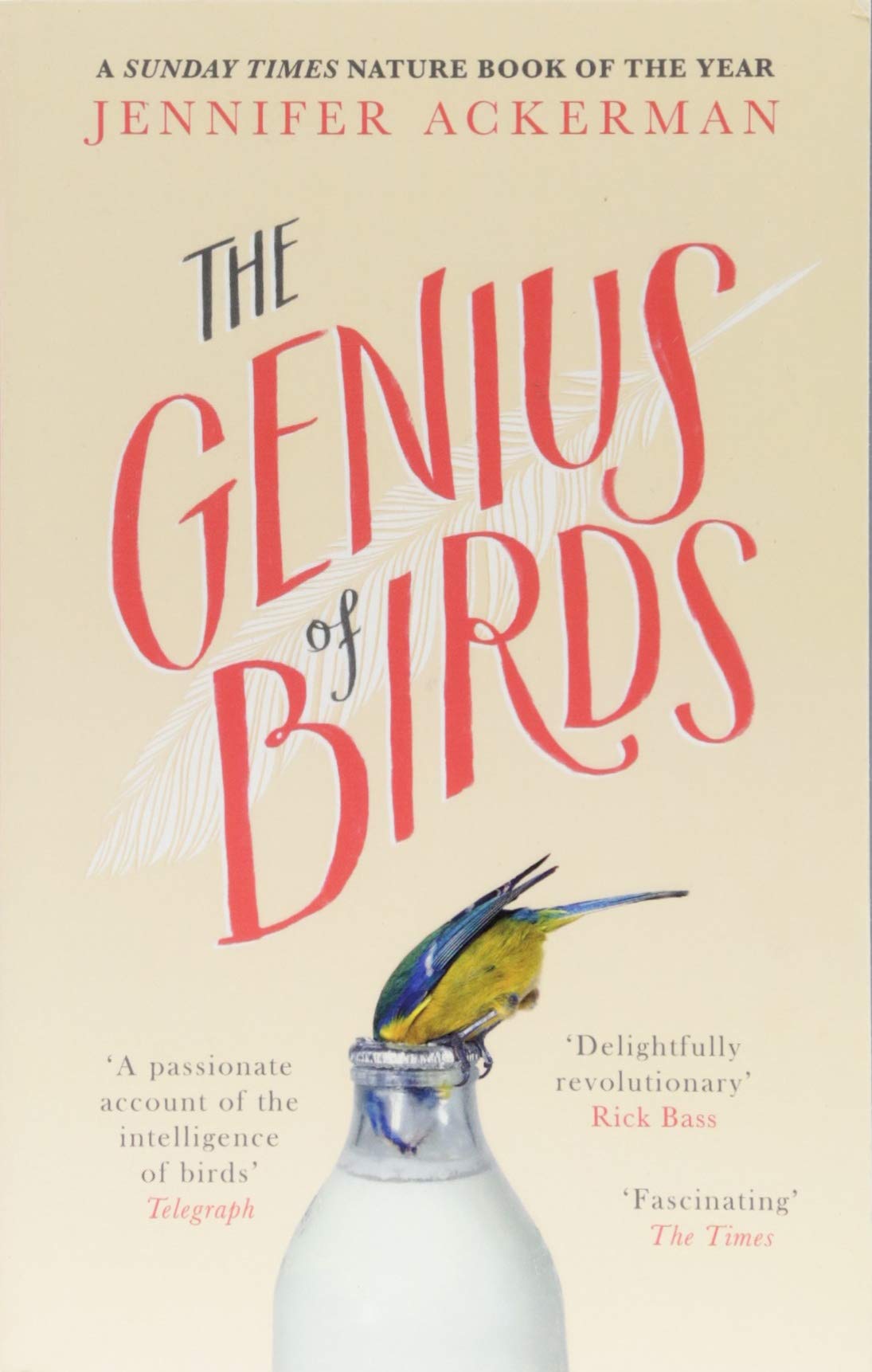 The Genius of Birds by Jennifer Ackerman