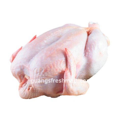 Fresh Whole Chicken (1.3kg) 