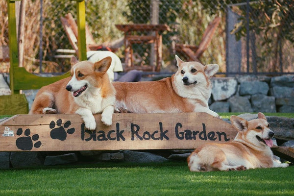 Black Rock Garden Đà Lạt