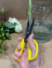 Scissors cutting stems