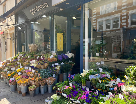 Gardenia of London shop front