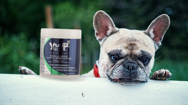 Yuup! Green Clay Mask next to French Bulldog