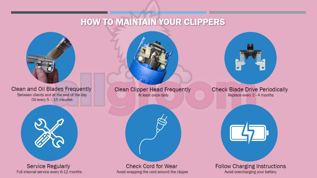 How to maintain your new clippers guide help advice information allgroom new zealand