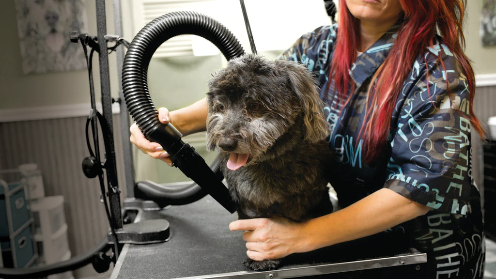 MetroVac Dryer being used on a Spoodle