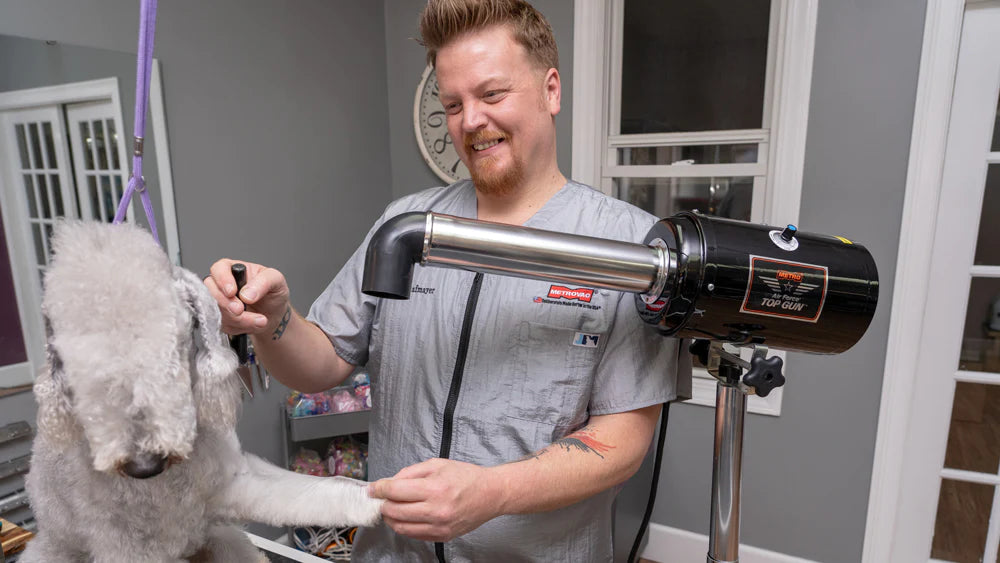 MetroVac Top Gun Stand Dryer Black being used by male groomer with short brown hair and a grey grooming shirt. The groomer is smiling while brushing the head of a Bedlington terrier and holding his paw. The dog is standing on a table which is out of frame. In the background, there are grey walls and what looks to be a domestic household setting.