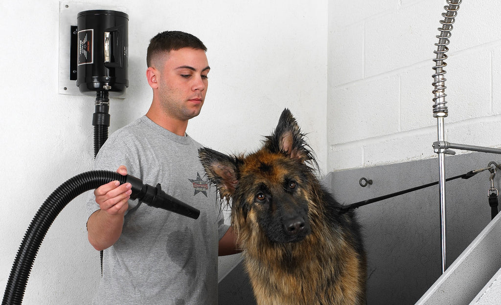 Man using MetroVac Radiance Dryer with Wall mount on a German Shepherd Dog who is in the bath