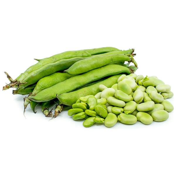 Fava Beans (per lb)