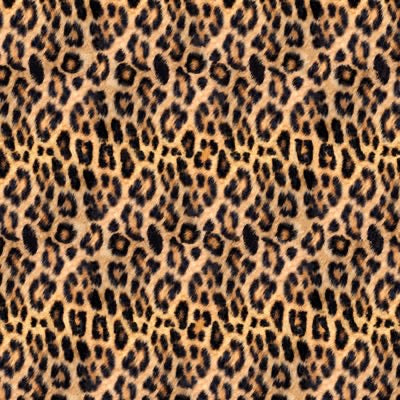 Wild Kingdom Digital Print By Hoffman – Leopard