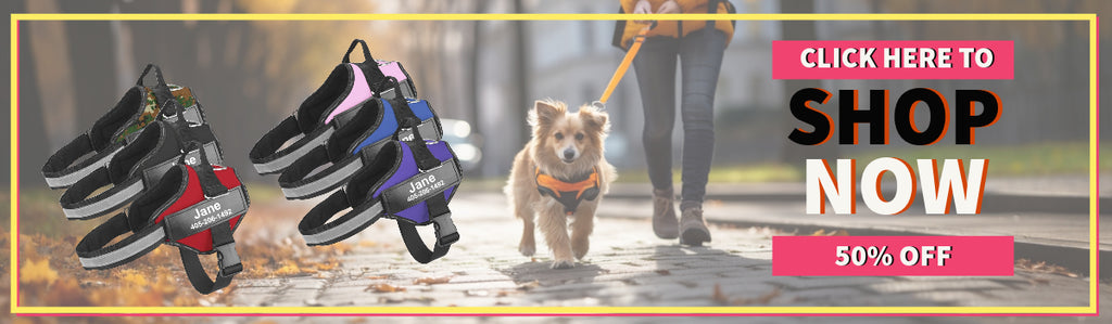 Dog Harness - Customized best comfort and most sold in the whole US. Shop now here.