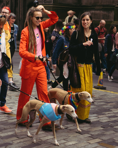 Dogs-on-leashes