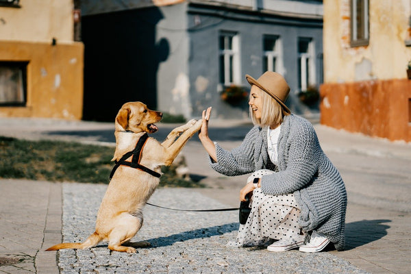 Lady-holding-a-dog's-hand
