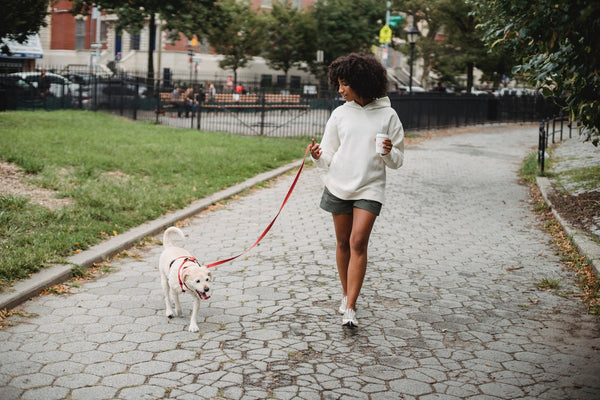 Lady-walking-with-a-dog