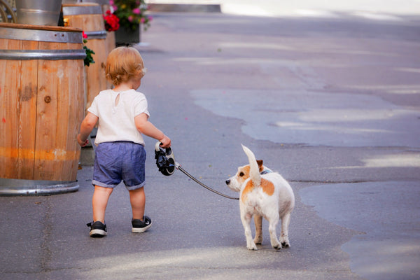 Little-boy-walking-with-a-dog