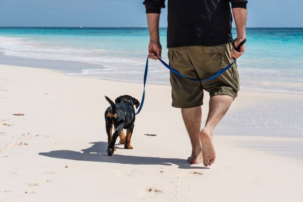 Man-and-dog-on-a-beach
