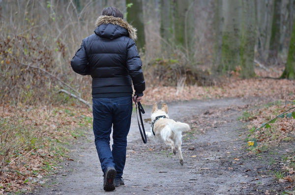 Man-and-dog-running