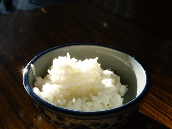 White rice in a bowl for a pet