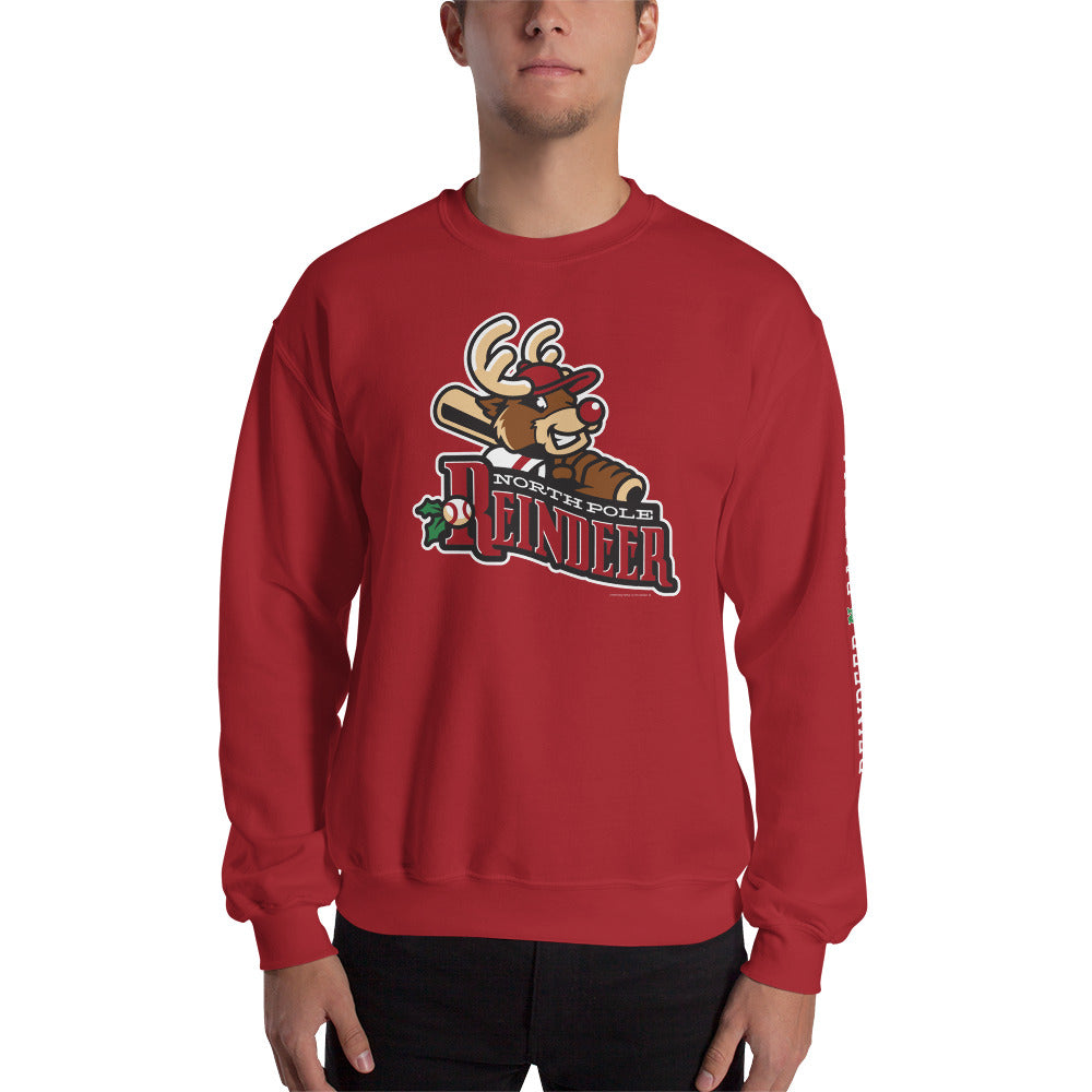 north pole sweatshirt