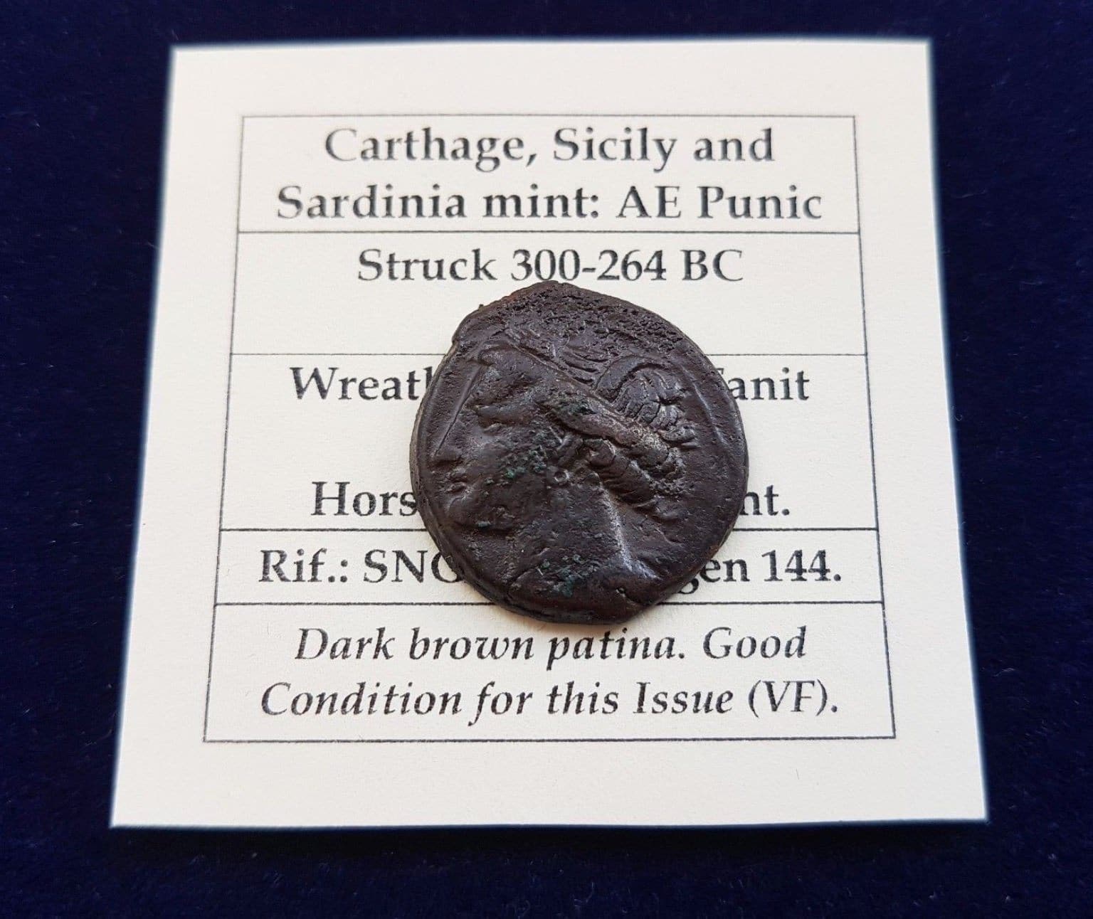 Carthage Zeugitania Ae Punic Tanit Horse Bronze Struck 300 264 Si Lumisnumis