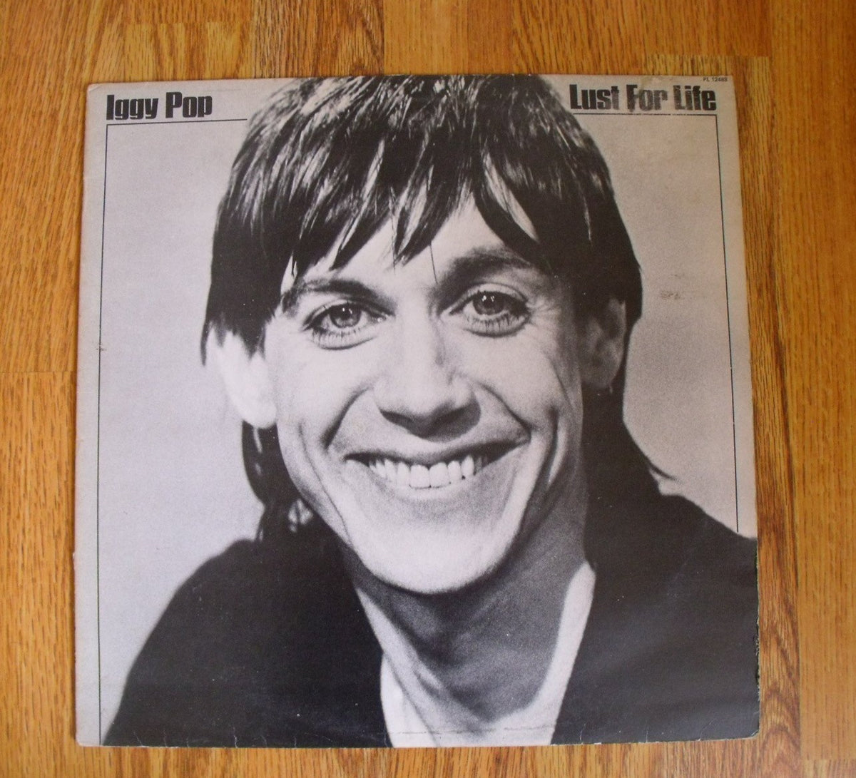 iggy pop lust for life