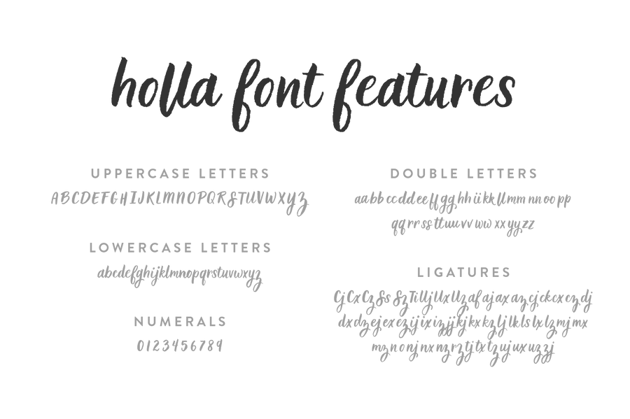 Holla Script Font Up Up Creative