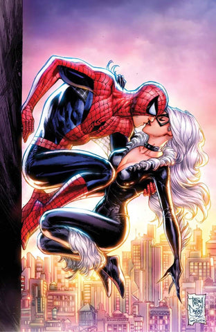 black cat spiderman make out