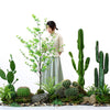 Fake Simultation Artificial Decorative Plant, Indoor, Cactus Tree, Green, 120cm