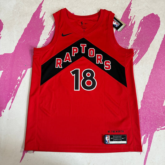 ❌SOLD❌ Chris Bosh Toronto Raptors road alternate jersey size 52 (XXL)  signed on the back. No COA for the auto but it looks good. Jersey is…