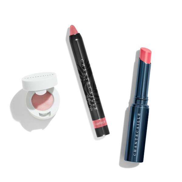 Chantecaille Day To Night Lip Bundle (Rose)