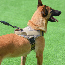 Cargar imagen en el visor de la galería, Dog Harness; large dog training tactical chest strap; K9 pet chest strap; vest type reflective dog rope; explosion-proof impulse traction
