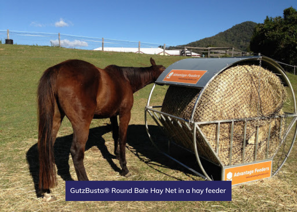 GutzBusta® Round Bale Hay Net in a hay feeder