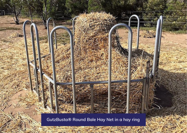 GutzBusta® Round Bale Hay Net in a hay ring