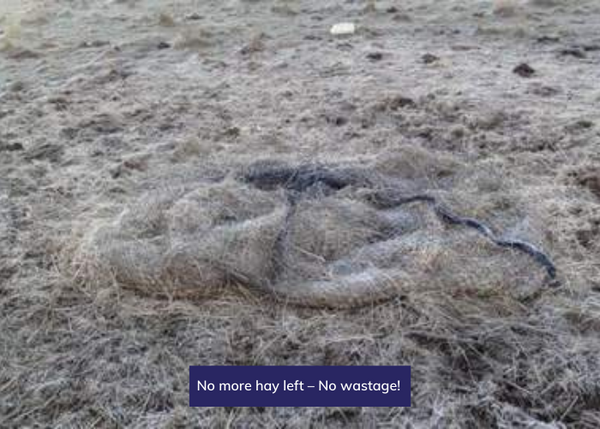 No more hay left – No wastage!