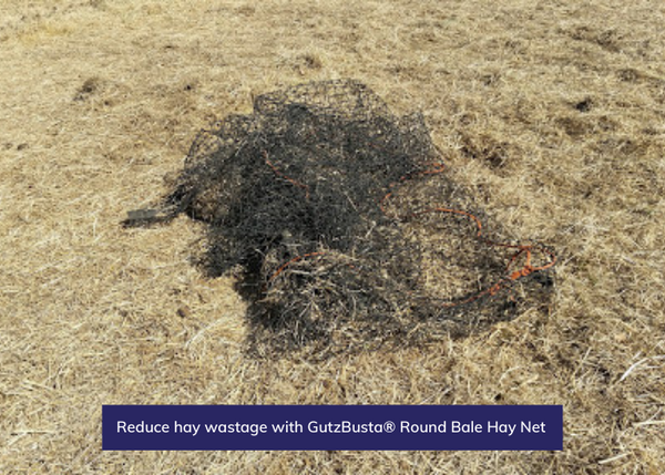 Reduce hay wastage with GutzBusta® Round Bale Hay Net
