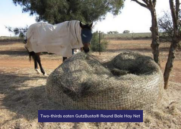 Two-thirds eaten GutzBusta® Round Bale Hay Net
